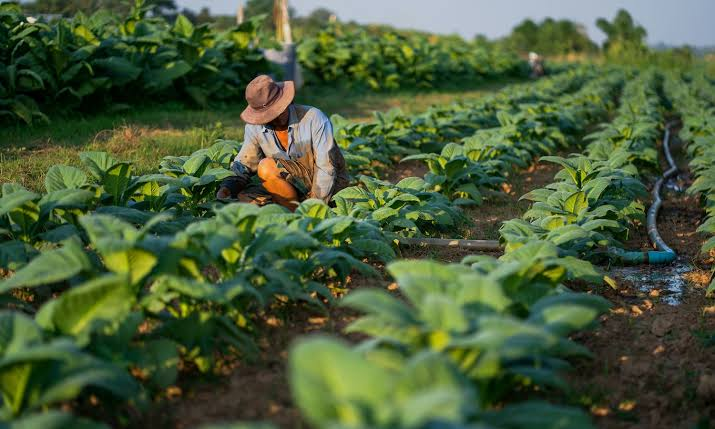 Agriculture